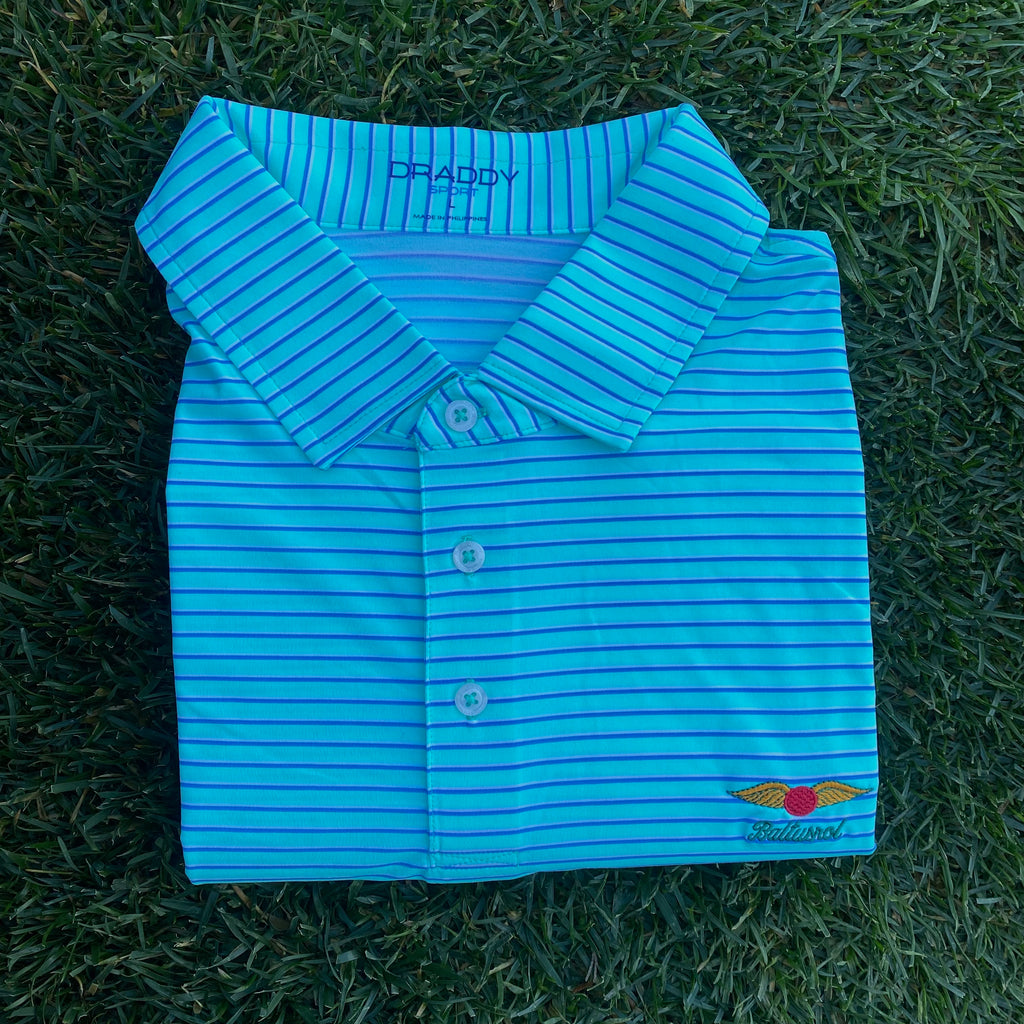 Green, Blue, and White Stripe Polo by B. Draddy